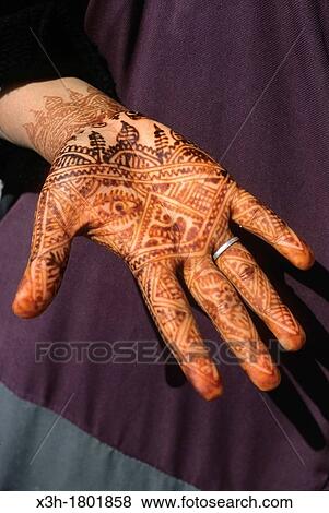 hand decorated with henna,, Morocco, North Africa View Large Photo Image Stock Photo - hand decorated with henna,, Morocco, North Africa. Fotosearch
