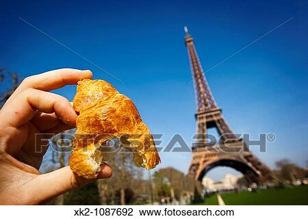 hand holding a croissant in Eiffel Tower, Paris View Large Photo Image Stock Image - hand holding a croissant in Eiffel Tower, Paris. Fotosearch