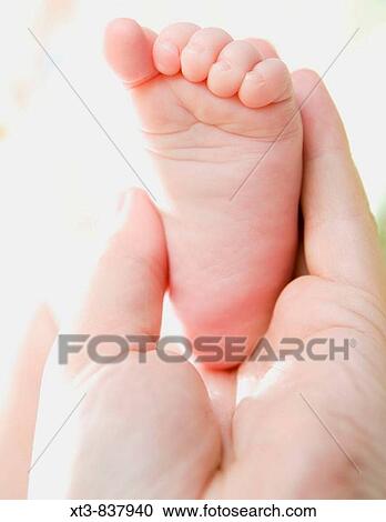 Stock Image - hand holding baby's foot. Fotosearch