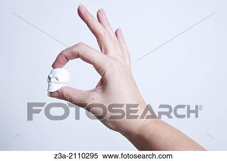 Hand Holding Little White Skull, Hand Gesture, Studio shot View Large Photo Image Stock Photography - Hand Holding Little White Skull, Hand Gesture, Studio shot. Fotosearch