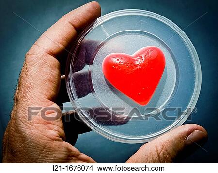 Hand holding red heart on a plastic cap. View Large Photo Image Picture - Hand holding red heart on a plastic cap.. Fotosearch