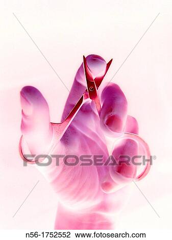 hand holding scissors View Large Photo Image Stock Image - hand holding scissors. Fotosearch