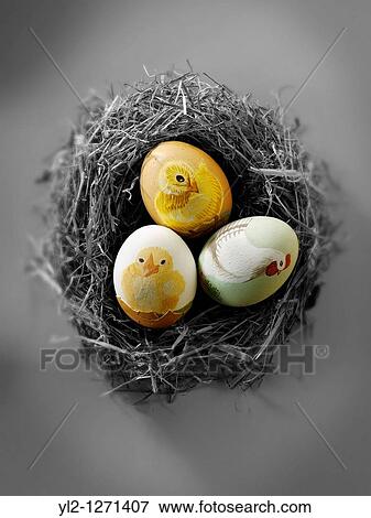 Stock Photo - Hand painted chicken eggs with traditional Easter chicks design. Fotosearch