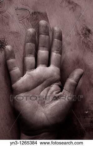 Hand palm with lines View Large Photo Image Picture - Hand palm with lines. Fotosearch