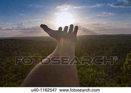 Hand reaching for the Sun View Large Photo Image Stock Photo - Hand reaching for the Sun. Fotosearch
