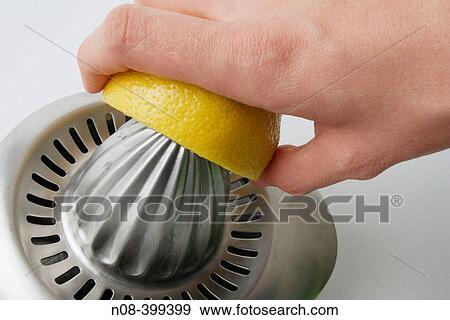 Hand squeezing lemon on metallic squeezer View Large Photo Image Stock Photo - Hand squeezing lemon on metallic squeezer. Fotosearch