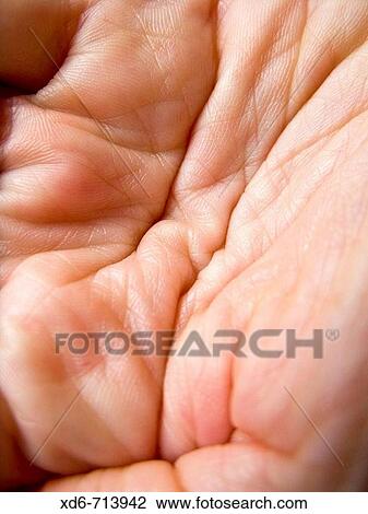 Hand View Large Photo Image Stock Image - Hand. Fotosearch
