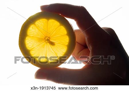 Hands holding a lemon slice View Large Photo Image Stock Photography - Hands holding a lemon slice. Fotosearch