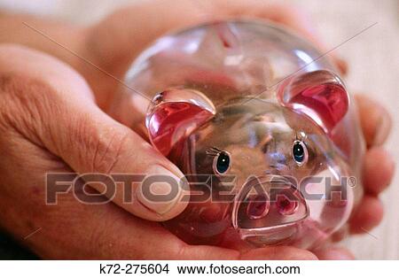 Picture - Hands holding piggy bank. Fotosearch