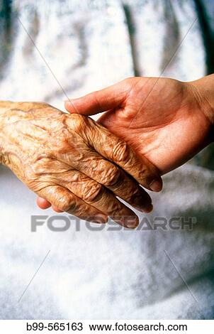 Stock Image - Hands of 95 and 40 year old women.. Fotosearch