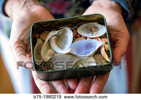 hands showing a box full of sea shells View Large Photo Image Stock Photo - hands showing a box full of sea shells. Fotosearch