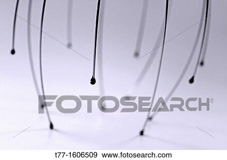 Handy Head Massager View Large Photo Image Stock Photo - Handy Head Massager. Fotosearch