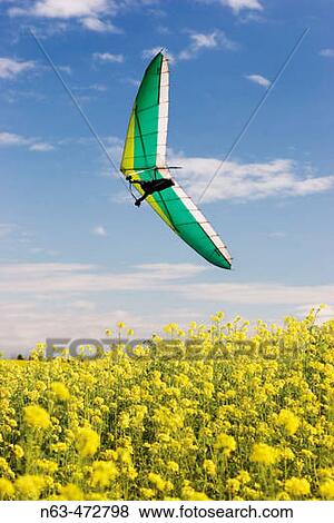 Hangglider View Large Photo Image Stock Photo - Hangglider. Fotosearch