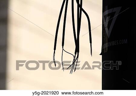 hanging bare electrical wires in street road in city town View Large Photo Image Stock Image - hanging bare electrical wires in street road in city town. Fotosearch
