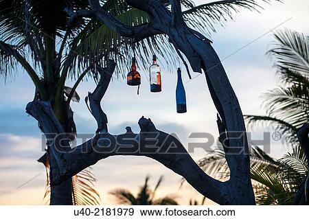 Hanging bottles at sunset, Sipacate, Guatemala View Large Photo Image Stock Photo - Hanging bottles at sunset, Sipacate, Guatemala. Fotosearch