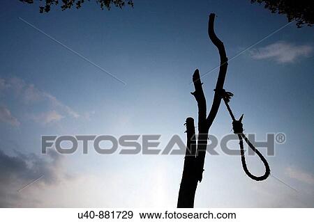 Hangman's Noose View Large Photo Image Stock Photo - Hangman's Noose. Fotosearch
