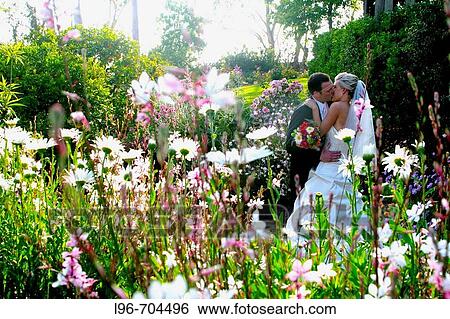 happy bride and groom kissing and embracing in a garden setting View Large Photo Image Stock Photograph - happy bride and groom kissing and embracing in a garden setting. Fotosearch