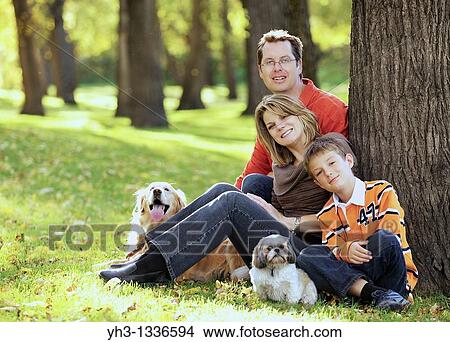 Picture - Happy young family posing in front of the camera with Golden Retriever and Shih Tzu dogs. Fotosearch