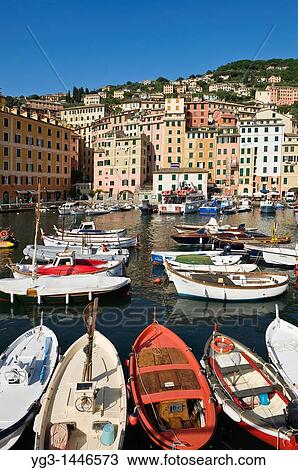 Stock Image - Harbour and colourful architecture, Camogli, Ligura, Italy. Fotosearch