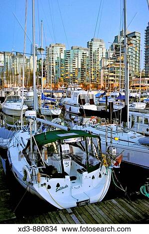 Harbour Cruises Marina and Coal Harbour condominiums, Vancouver, British Columbia, Canada View Large Photo Image Picture - Harbour Cruises Marina and Coal Harbour condominiums, Vancouver, British Columbia, Canada. Fotosearch