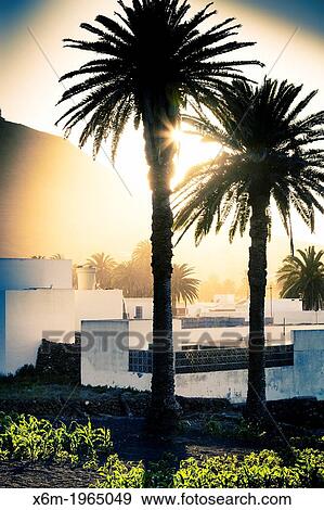 Haria village. Lanzarote, Canary Islands, Atlantic Ocean, Spain. View Large Photo Image Stock Photo - Haria village. Lanzarote, Canary Islands, Atlantic Ocean, Spain.. Fotosearch