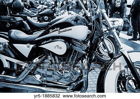 Stock Image - Harley Davidson motorcycles at rally in Las Palmas, Gran Canaria, Canary Islands, Spain. Fotosearch