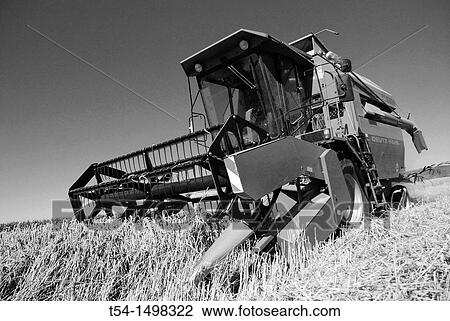 Harvester-Thresher on a Cornfield View Large Photo Image Stock Image - Harvester-Thresher on a Cornfield. Fotosearch