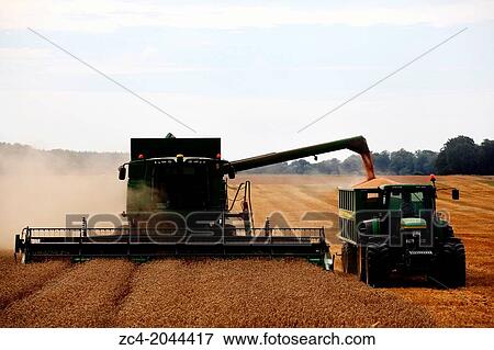 Harvester unloading the harvest to a tractor. View Large Photo Image Stock Photo - Harvester unloading the harvest to a tractor.. Fotosearch