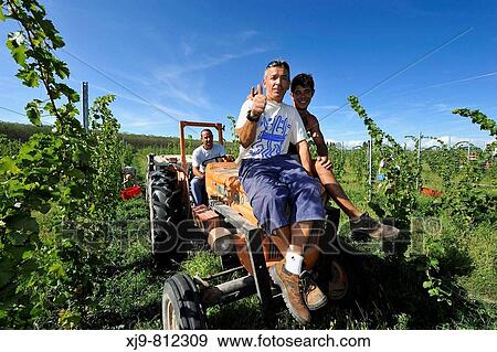 Harvesters sitting on the tractor and greet. View Large Photo Image Stock Photo - Harvesters sitting on the tractor and greet.. Fotosearch