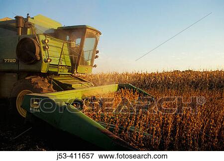 Harvesting milo. Nebraska. USA. View Large Photo Image Stock Photo - Harvesting milo. Nebraska. USA.. Fotosearch
