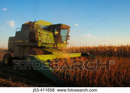 Harvesting milo. Nebraska. USA. View Large Photo Image Stock Photo - Harvesting milo. Nebraska. USA.. Fotosearch