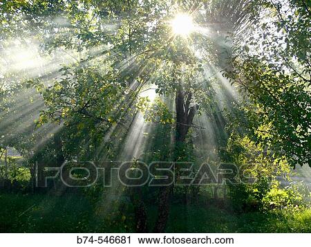 Haute-Loire. France. View Large Photo Image Stock Image - Haute-Loire. France.. Fotosearch