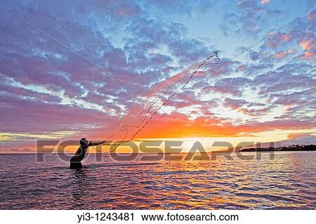 Hawaiian man throws his net at sunset at OLowalu, Maui, Hawaii View Large Photo Image Stock Image - Hawaiian man throws his net at sunset at OLowalu, Maui, Hawaii. Fotosearch