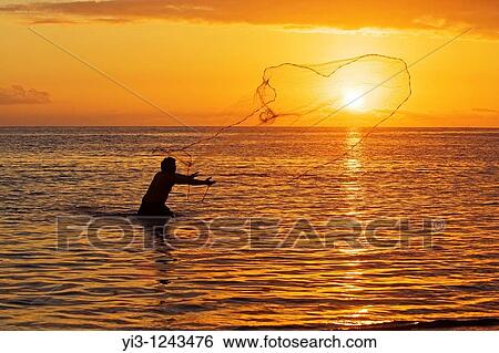 Hawaiian man throws his net at sunset at OLowalu, Maui, Hawaii View Large Photo Image Stock Photograph - Hawaiian man throws his net at sunset at OLowalu, Maui, Hawaii. Fotosearch