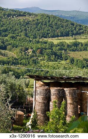 Hay bales in the Tuscan countryside Italy View Large Photo Image Stock Photograph - Hay bales in the Tuscan countryside Italy. Fotosearch