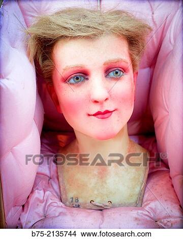 Head of a male mannequin with blue eyes and blonde hair, macabre aspect, saved in a quilted pink satin box. London, England, UK, Europe View Large Photo Image Picture - Head of a male mannequin with blue eyes and blonde hair, macabre aspect, saved in a quilted pink satin box. London, England, UK, Europe. Fotosearch