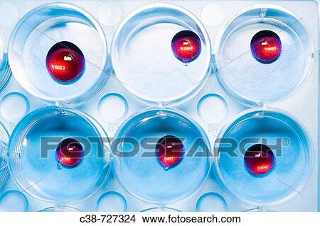 Picture - Health & Medicine. Fotosearch