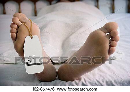 Stock Photograph - Health & Medicine. Fotosearch