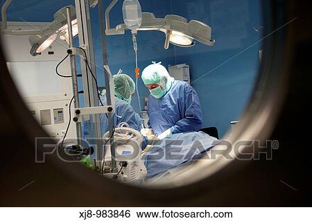 Health & Medicine View Large Photo Image Stock Photograph - Health & Medicine. Fotosearch