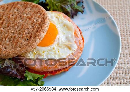 Picture - Healthy fast food: chicken hamburger and fried egg with wholemeal bread. Close view.. Fotosearch