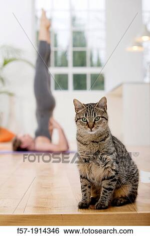 Healthy young woman doing the supported shoulderstand pose yoga position View Large Photo Image Stock Photograph - Healthy young woman doing the supported shoulderstand pose yoga position. Fotosearch