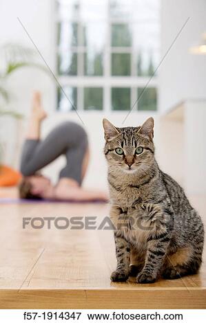 Stock Photo - Healthy young woman in a yoga position. Fotosearch