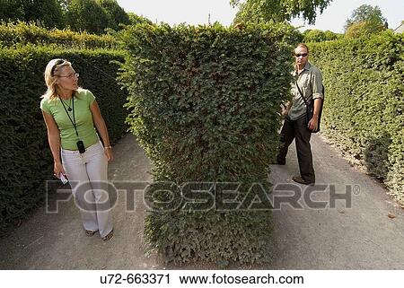 Hedge Labyrinth, Schonbrunn Palace Gardens, Vienna, Austria, Europe View Large Photo Image Stock Image - Hedge Labyrinth, Schonbrunn Palace Gardens, Vienna, Austria, Europe. Fotosearch
