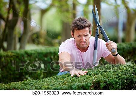 Hedge trimmers, Hand tool, Garden, Gardener pruning bush. View Large Photo Image Stock Photo - Hedge trimmers, Hand tool, Garden, Gardener pruning bush.. Fotosearch