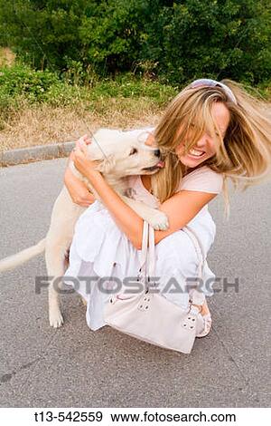 Her pet dog is licking young woman affectionately View Large Photo Image Stock Photo - Her pet dog is licking young woman affectionately. Fotosearch