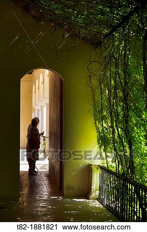 herb garden silhouette between the Alcazar of Seville, Alcazar, Sevilla, Andalucia, Spain View Large Photo Image Stock Image - herb garden silhouette between the Alcazar of Seville, Alcazar, Sevilla, Andalucia, Spain. Fotosearch