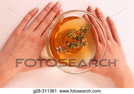 Herbal tea View Large Photo Image Stock Image - Herbal tea. Fotosearch