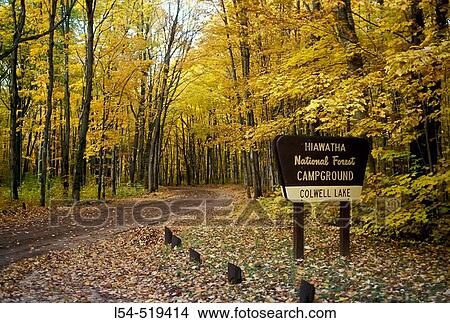 Hiawatha National Forest and campground in Michigan Upper Penninsula View Large Photo Image Picture - Hiawatha National Forest and campground in Michigan Upper Penninsula. Fotosearch