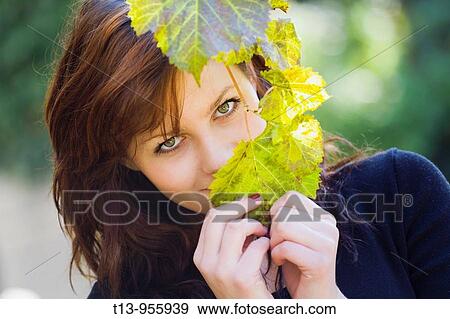 Hiding behind Autumn leaf View Large Photo Image Stock Photo - Hiding behind Autumn leaf. Fotosearch