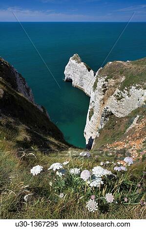 High cliff of Etretat, in Alabaster Coast Seine-Maritime department, Haute-Normandie region France View Large Photo Image Stock Photography - High cliff of Etretat, in Alabaster Coast Seine-Maritime department, Haute-Normandie region France. Fotosearch